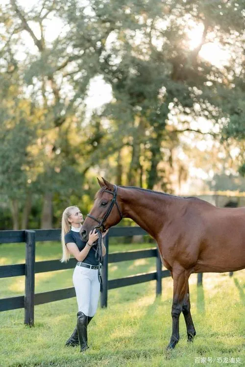 发展历程 - 平台成长与玩家体验